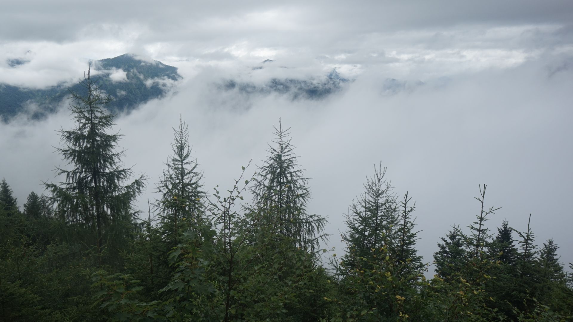 Bad Ischl › North-East
