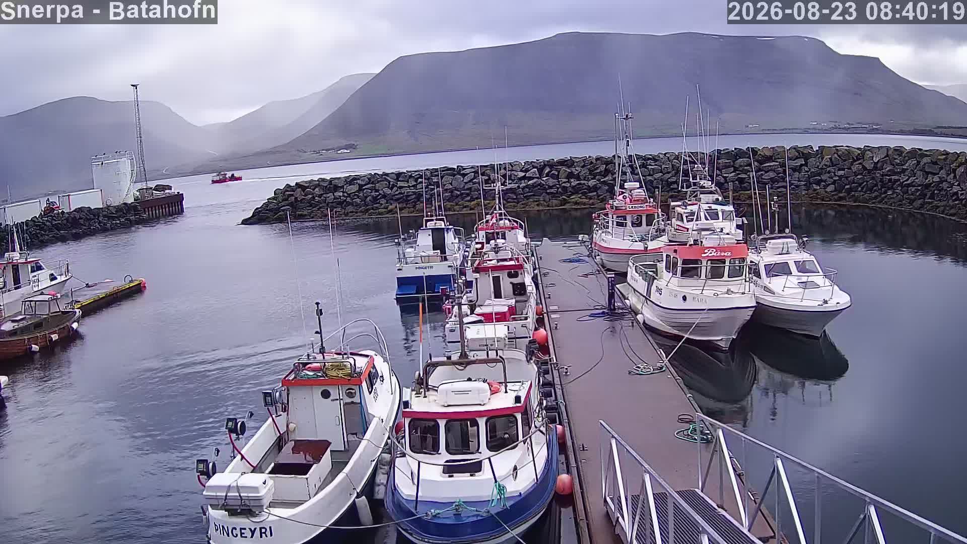 Westfjords › North-East: Þingeyri