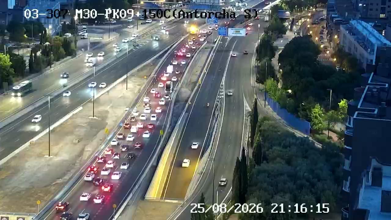 Adelfas: ANTORCHA SUR