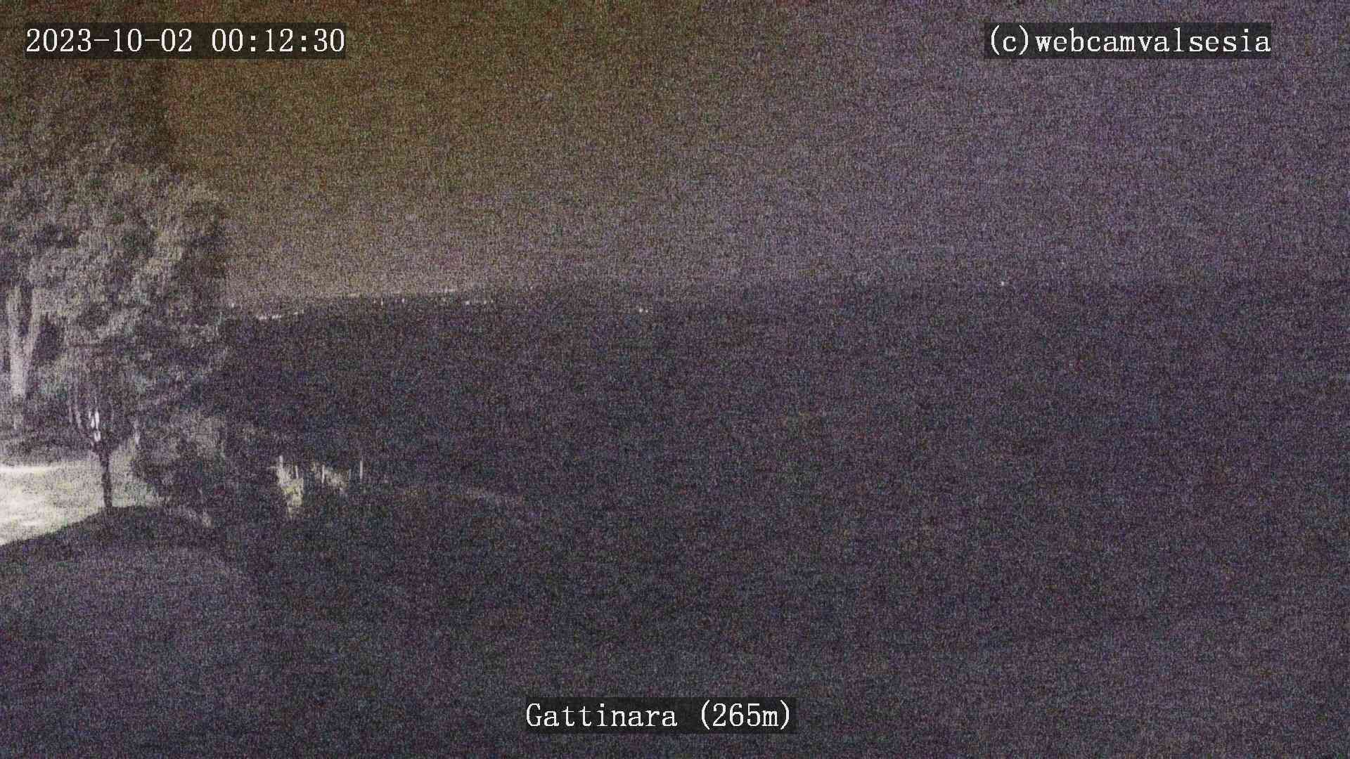 Gattinara