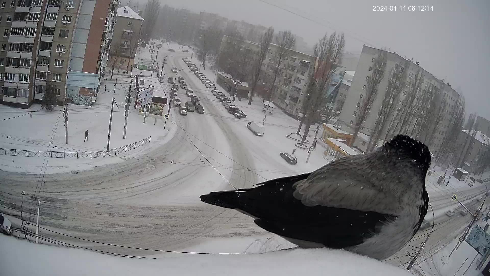 Saratov › North