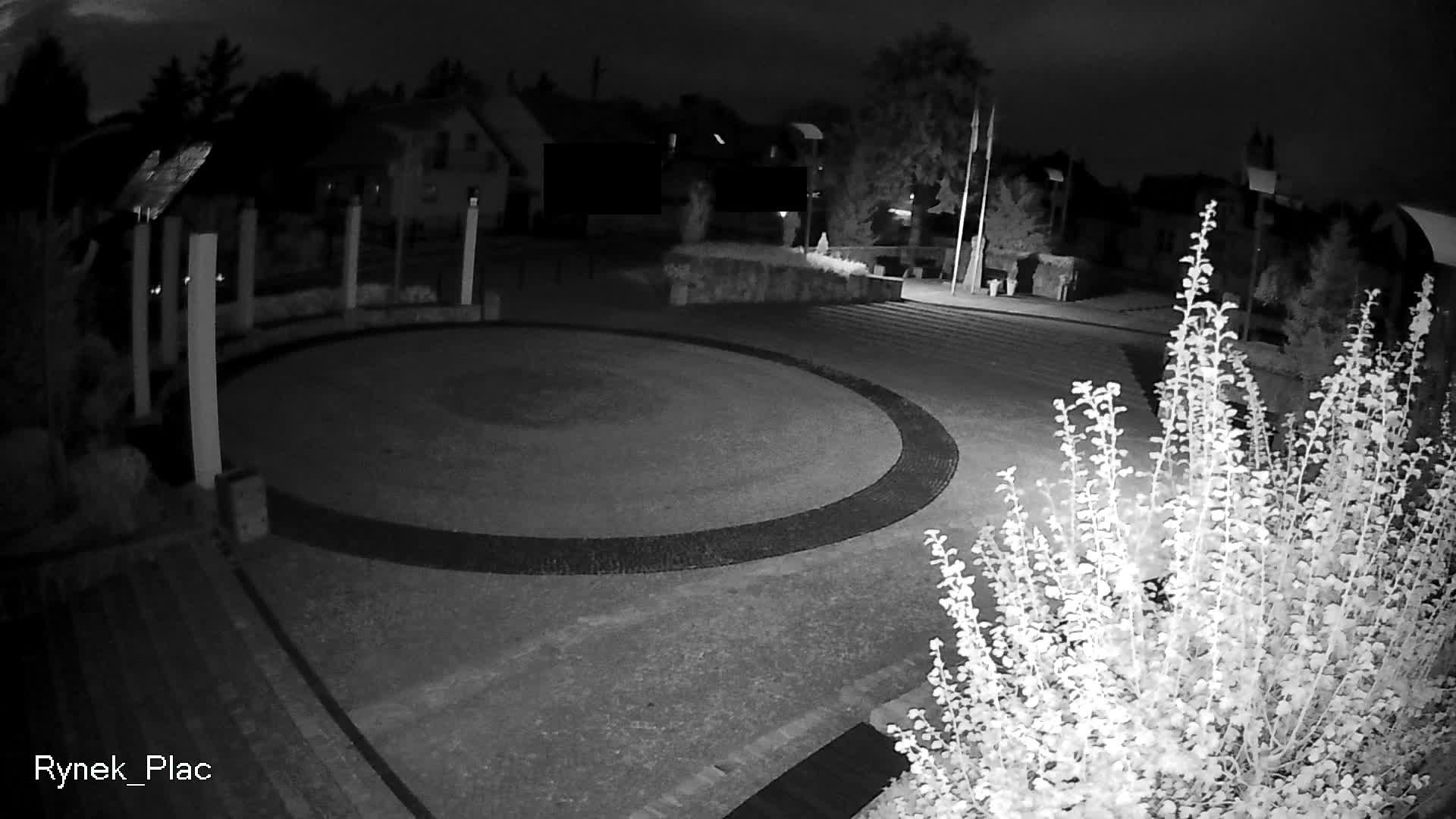 Debowiec › South-East: Dębowiec