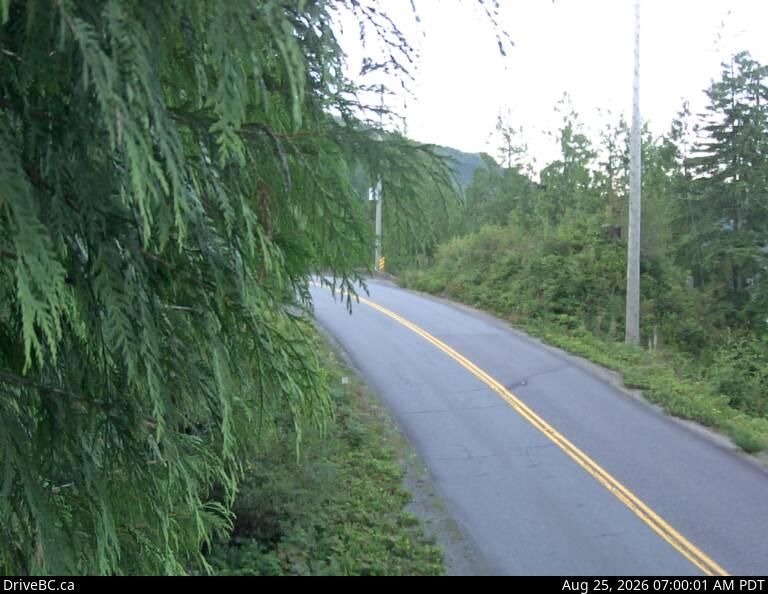 Ucluelet › West: Hwy 4, by Kennedy Lake, looking west