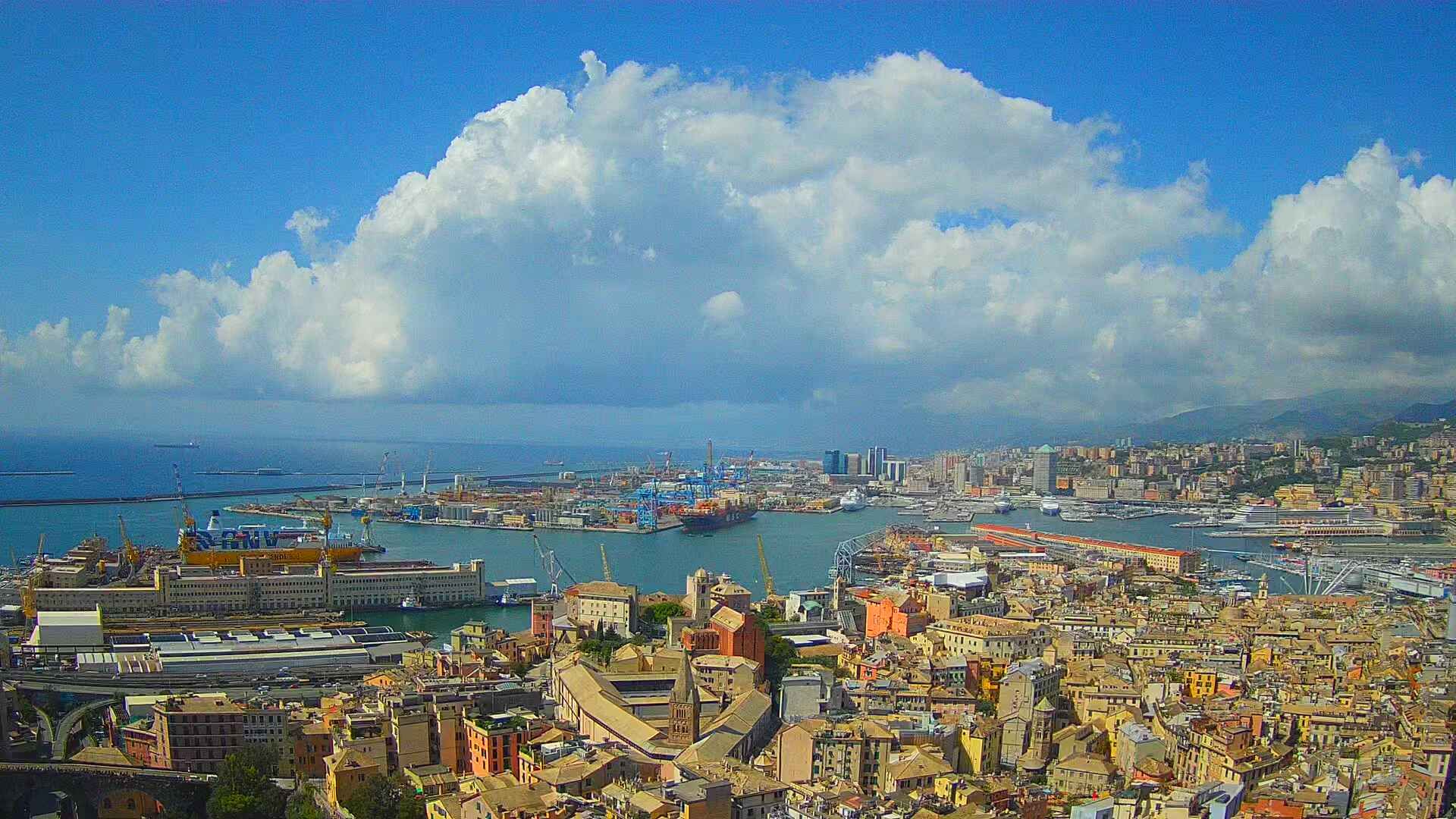 Genoa: Primocanale