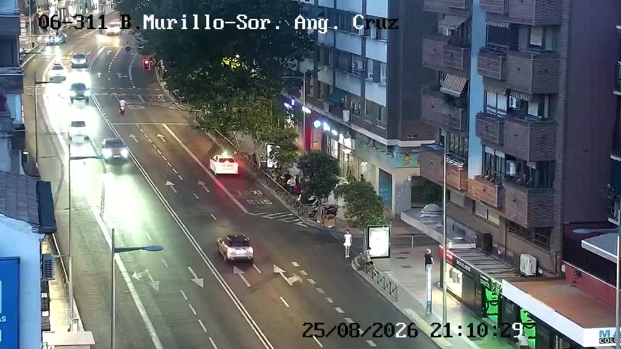 Berruguete: BRAVO MURILLO - SOR ANGELA DE LA CRUZ