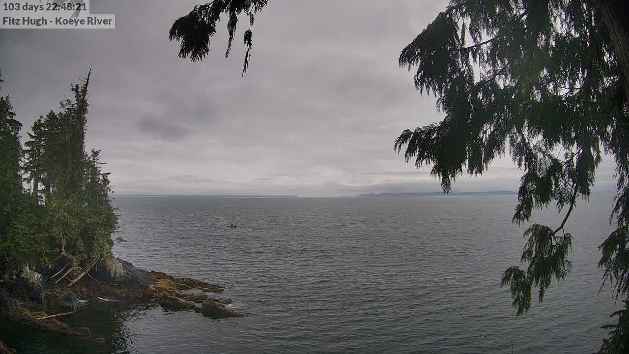 British Columbia: Koeye River Mouth