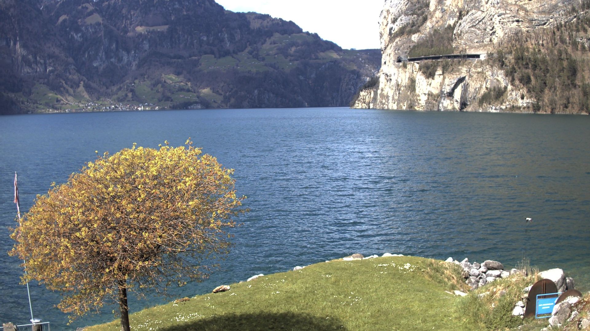 Fluelen: Urnersee