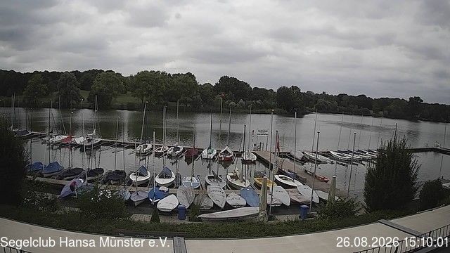 Munster