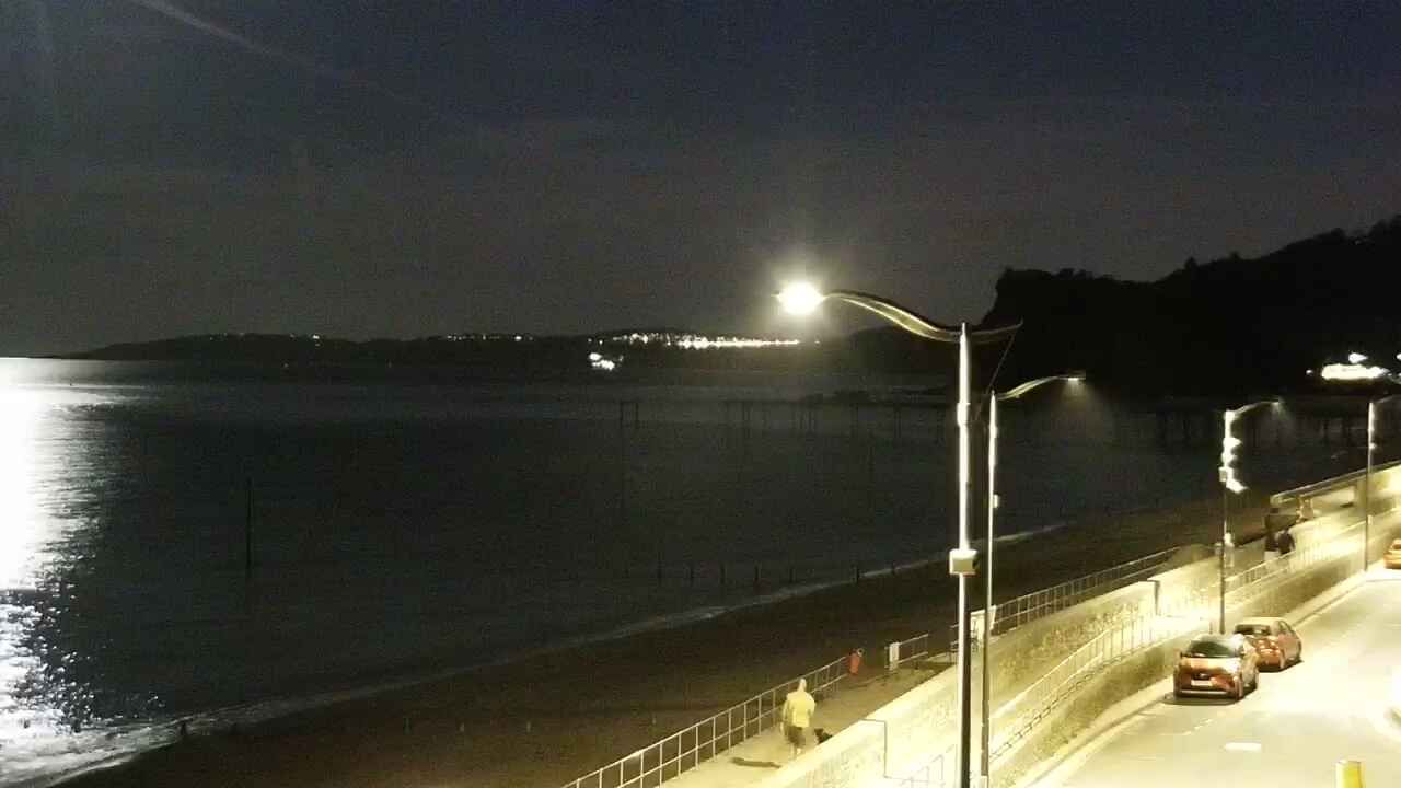 Teignbridge › South-West: Eastcliff Walk