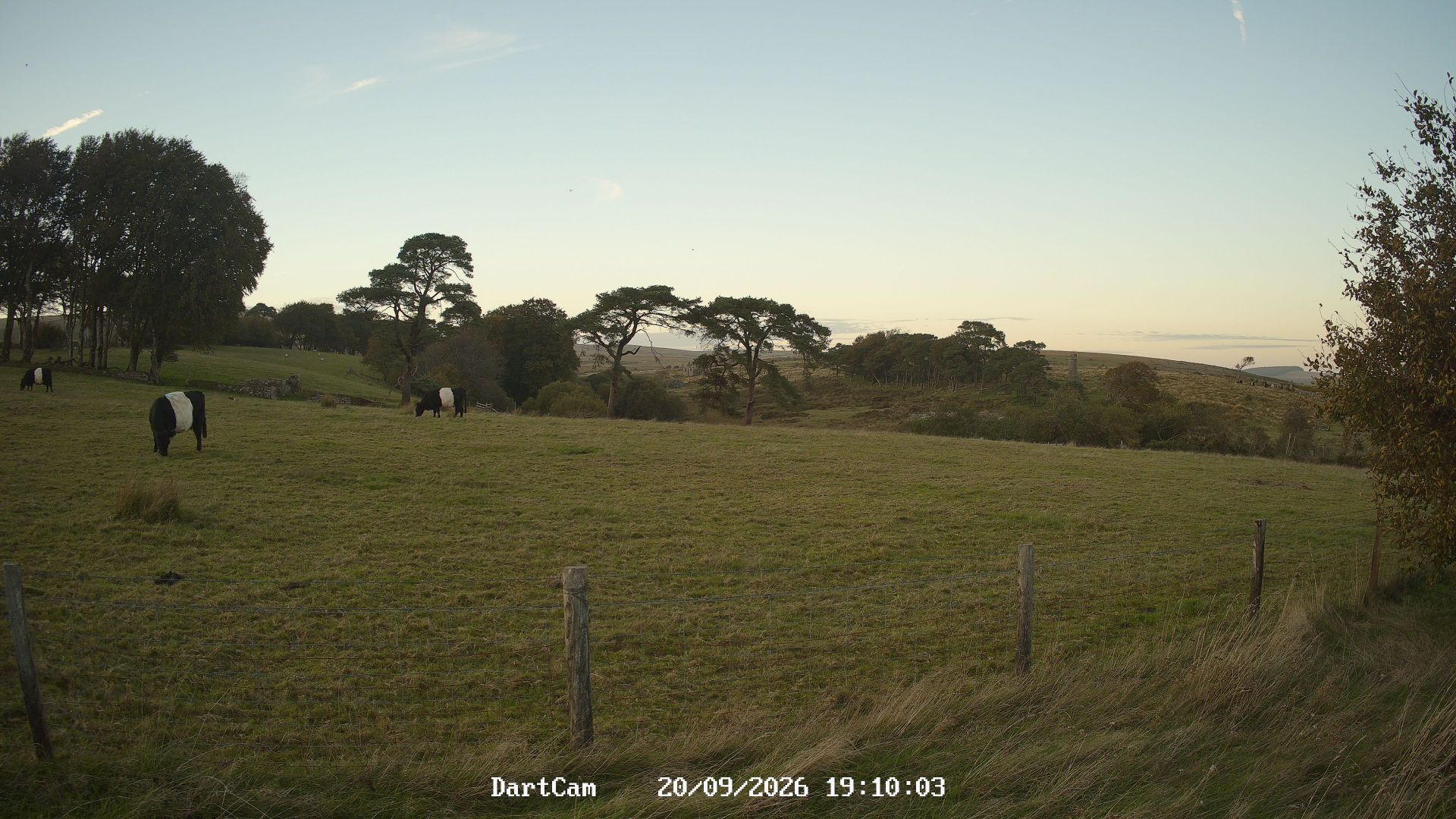 Postbridge: Dartmoor