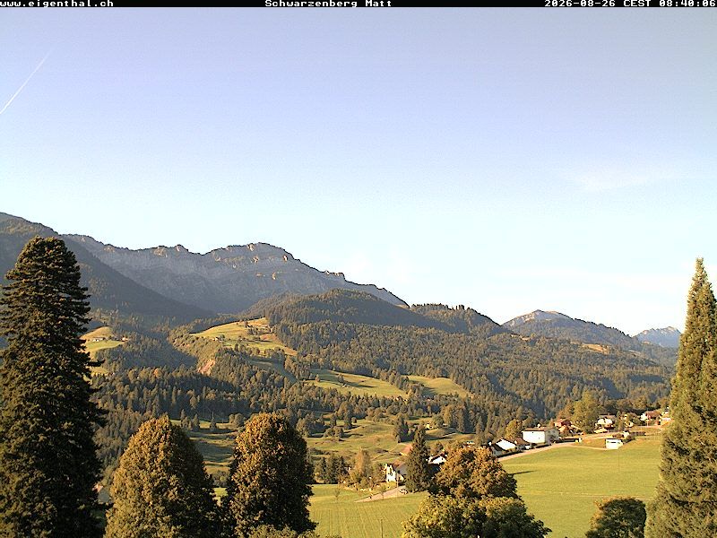 Furtig: Schwarzenberg Matt