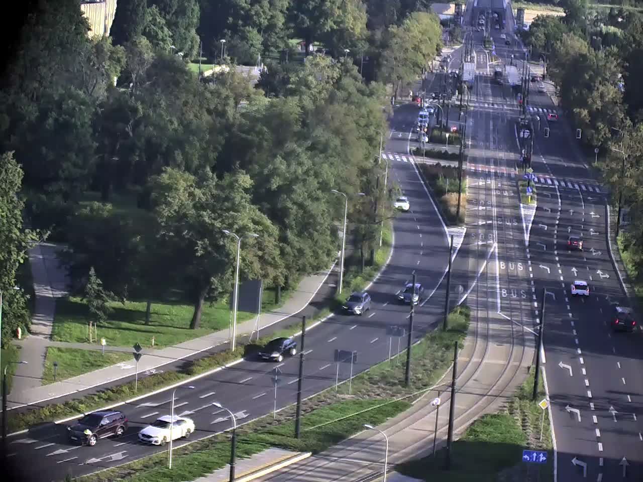 Stare Miasto: torun