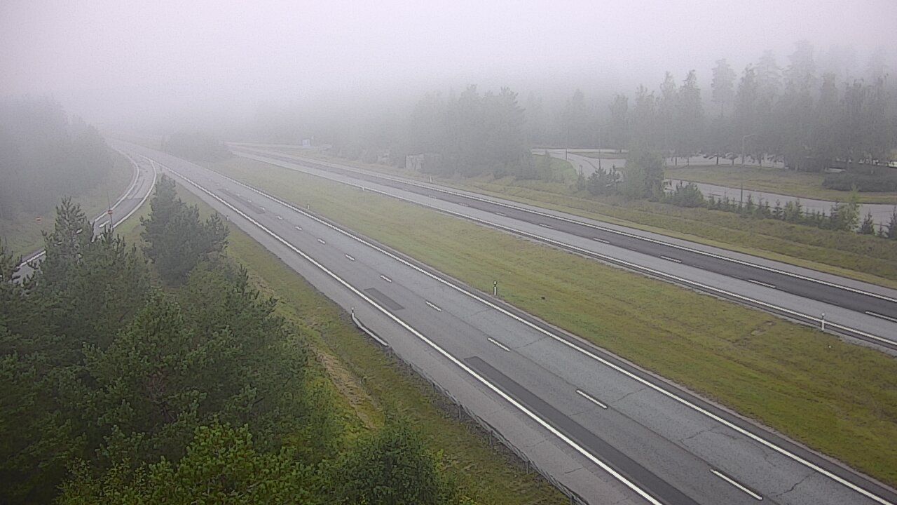 Salo: Tie - Haukkala