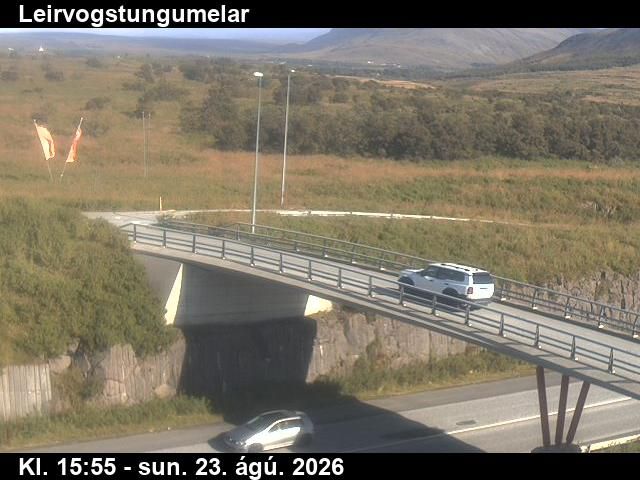 Reykjavik: Leirvogstungumelar