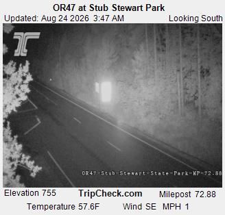 Vernonia: ORE47 at Stub Stewart Park