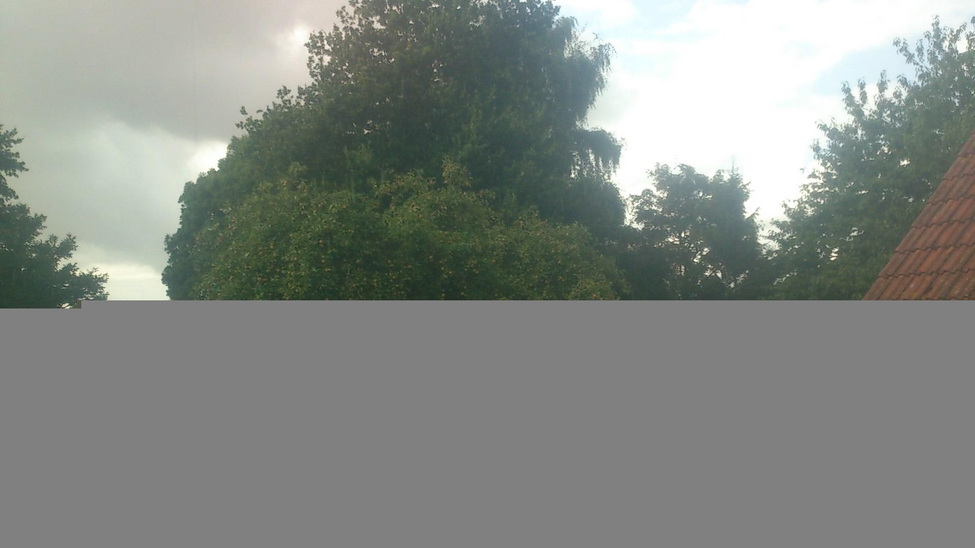 Naestved › West