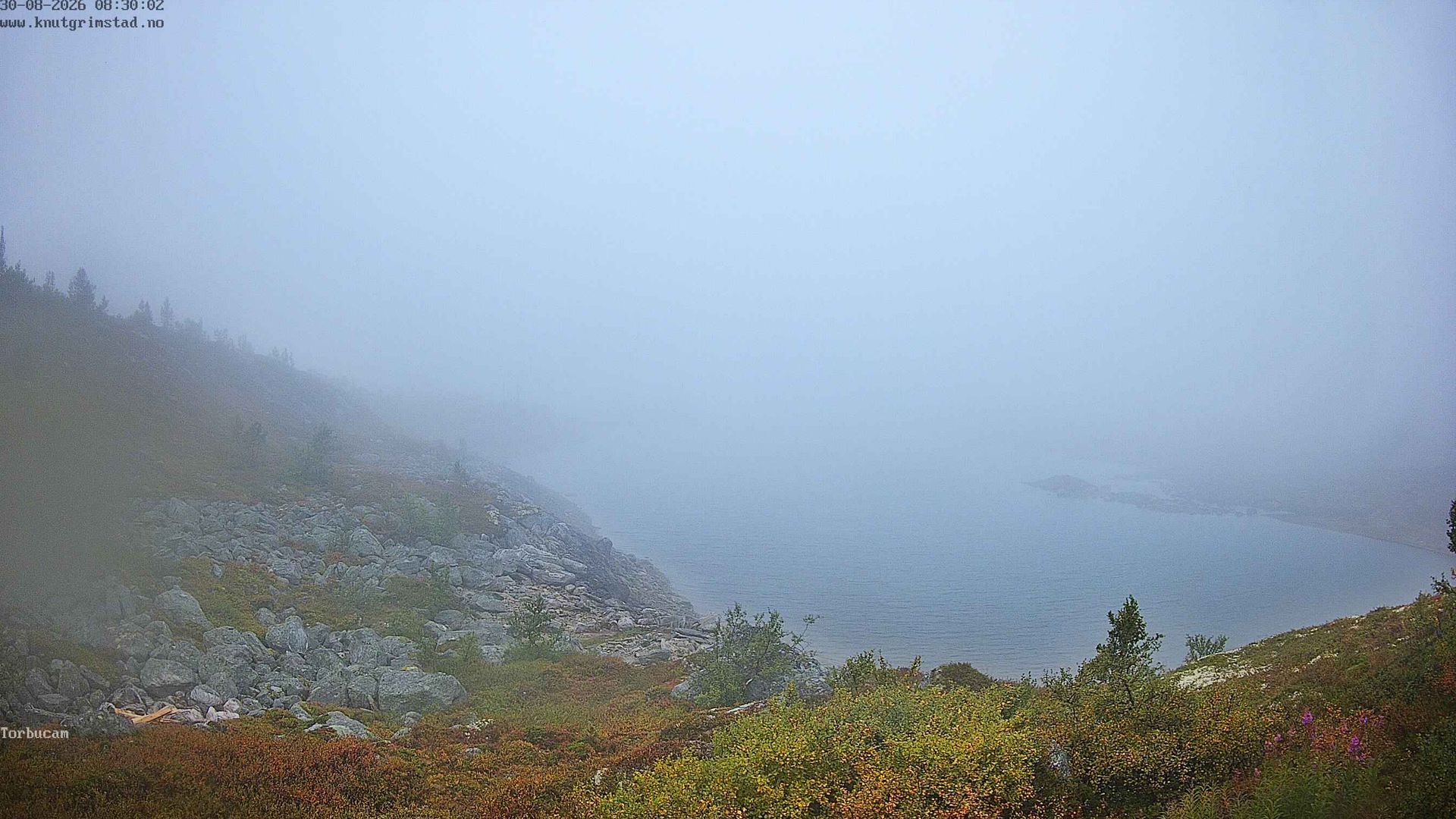 Møre og Romsdal › North-West: Langvatnet