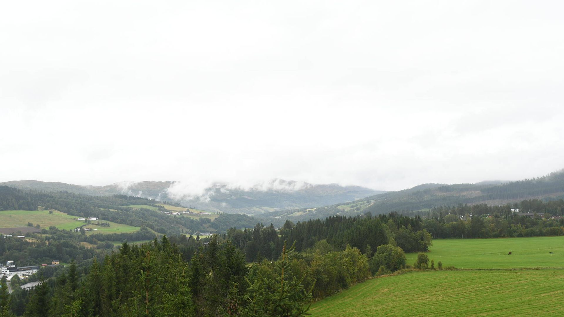 Rindal › North