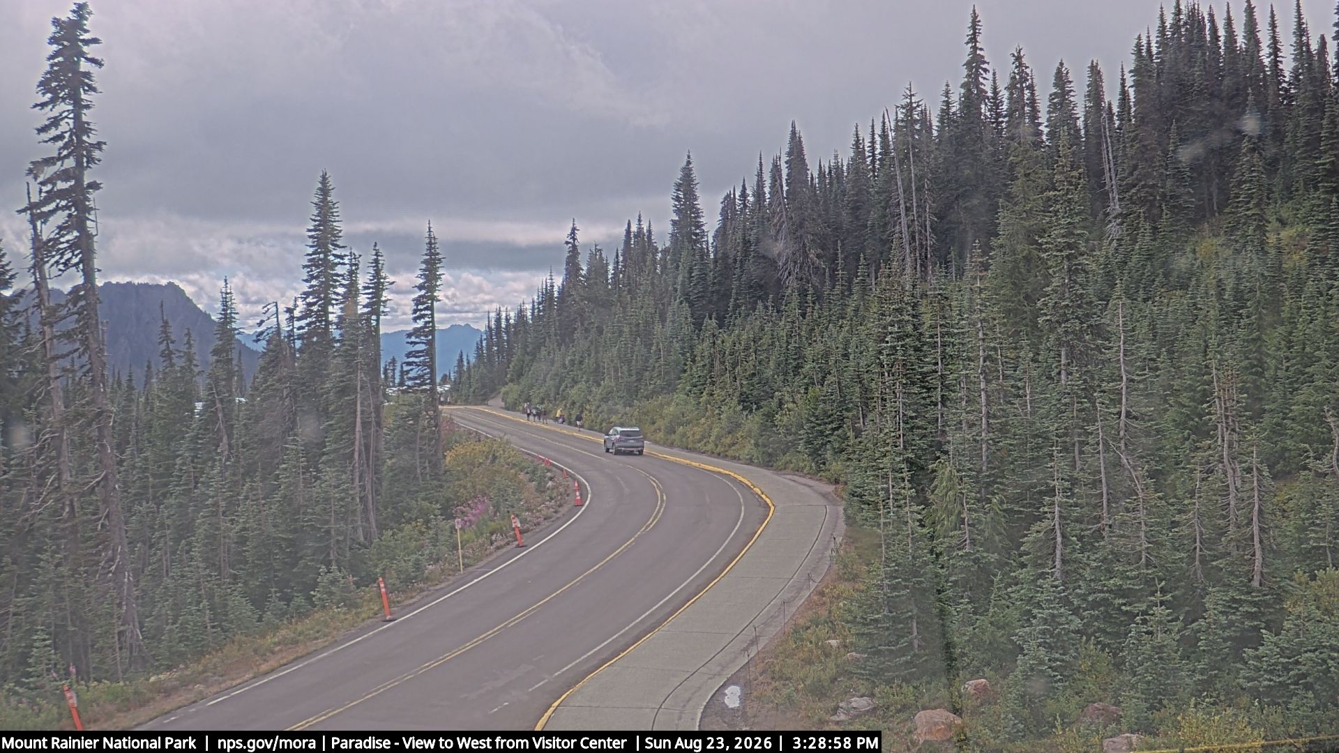 Paradise: Mount Rainier NP, Looking west from the Jackson Visitor Center