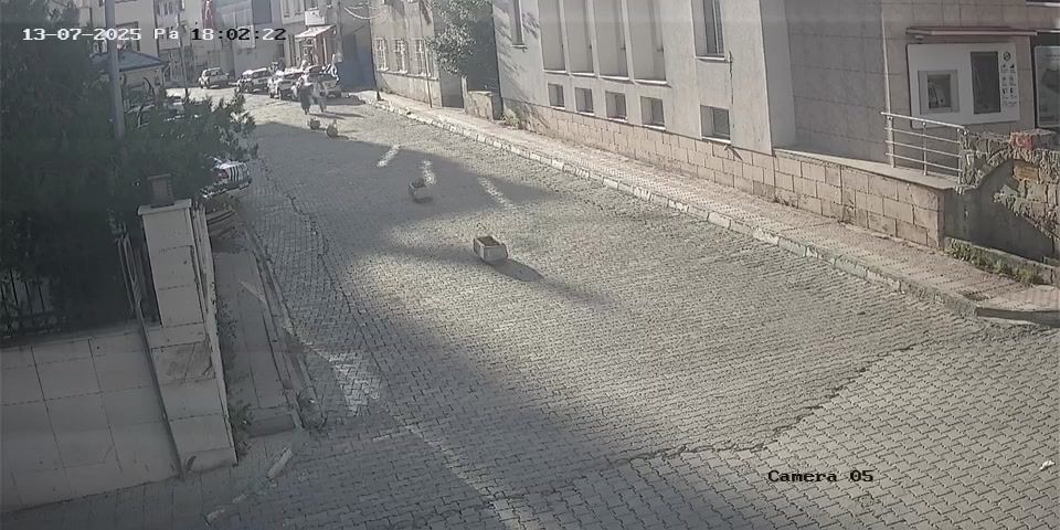 Cevizli: Şavşat