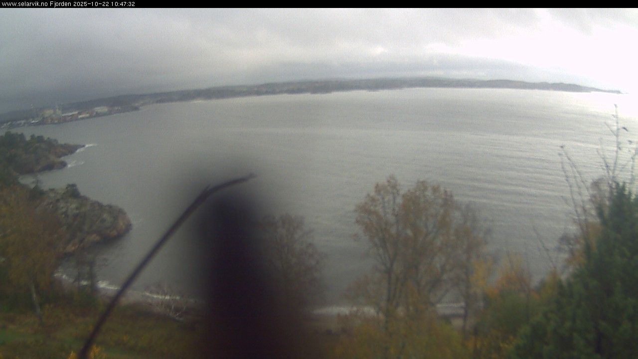 Love nedre: Larviksfjorden 1