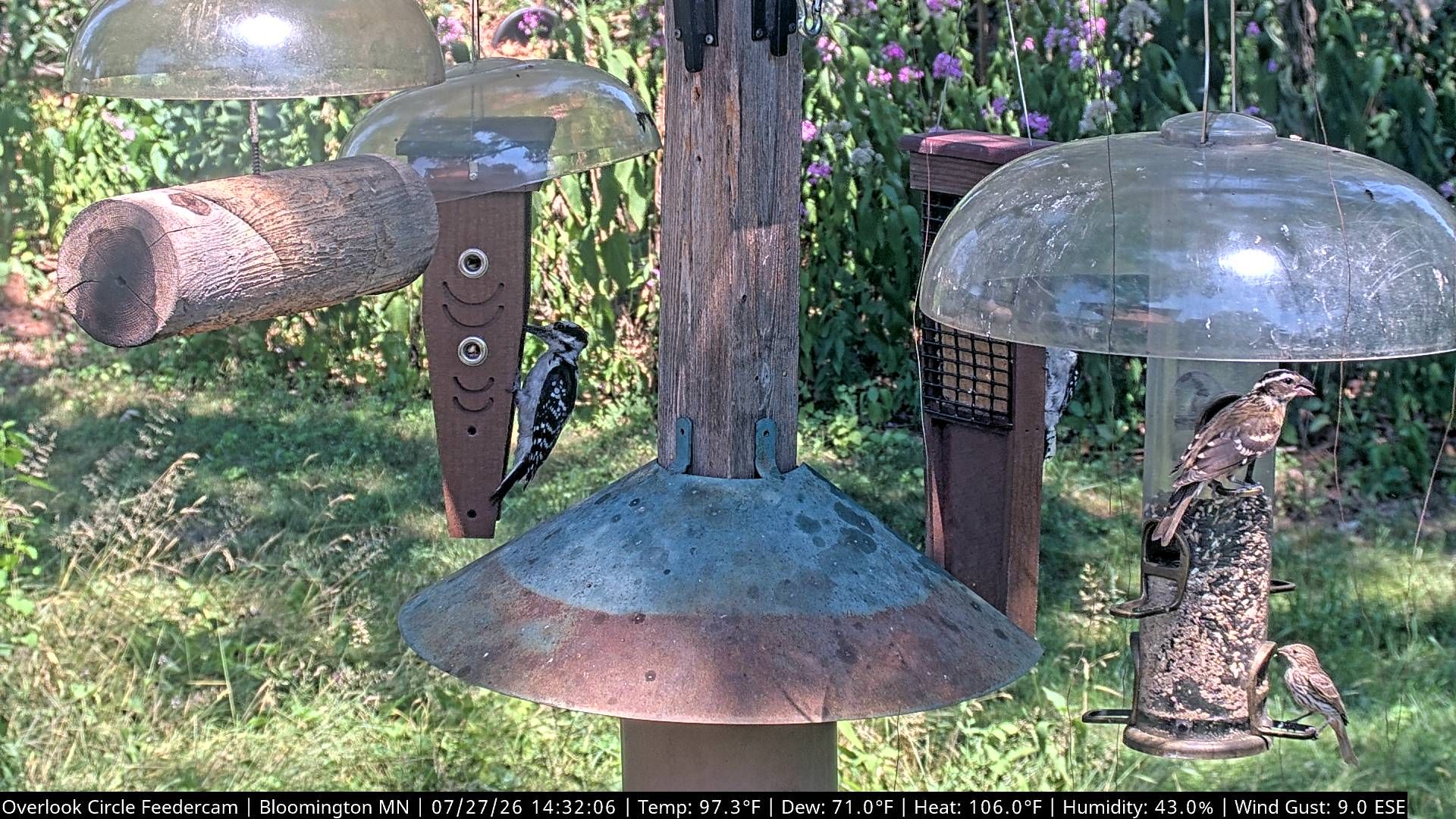 Bloomington › East: Overlook Circle