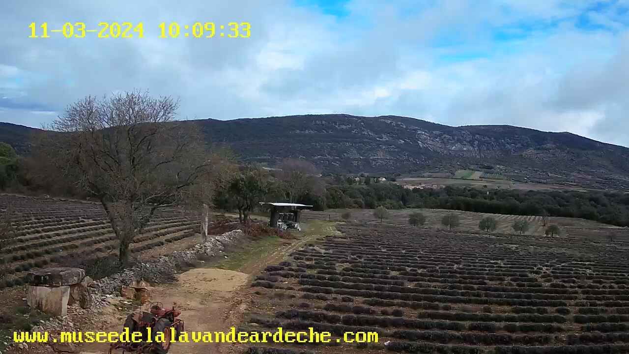 Saint-Remeze: Musée de la lavande