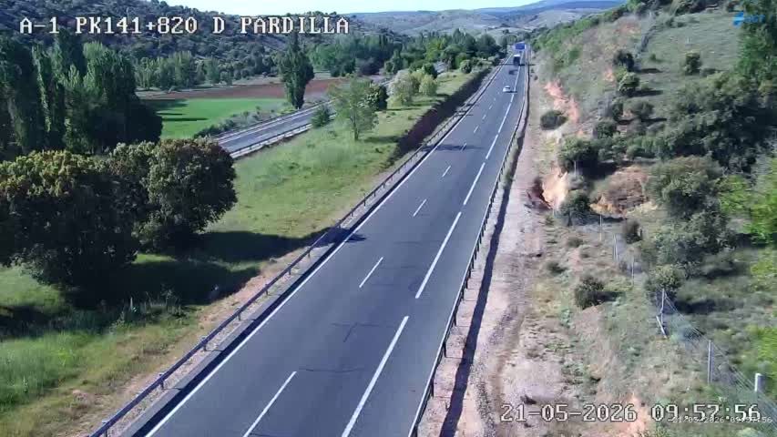 Pardilla