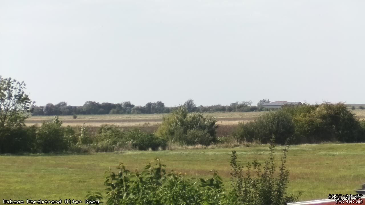 Nordstrand › South-West: Elisabeth-Sophien-Koog › South-West