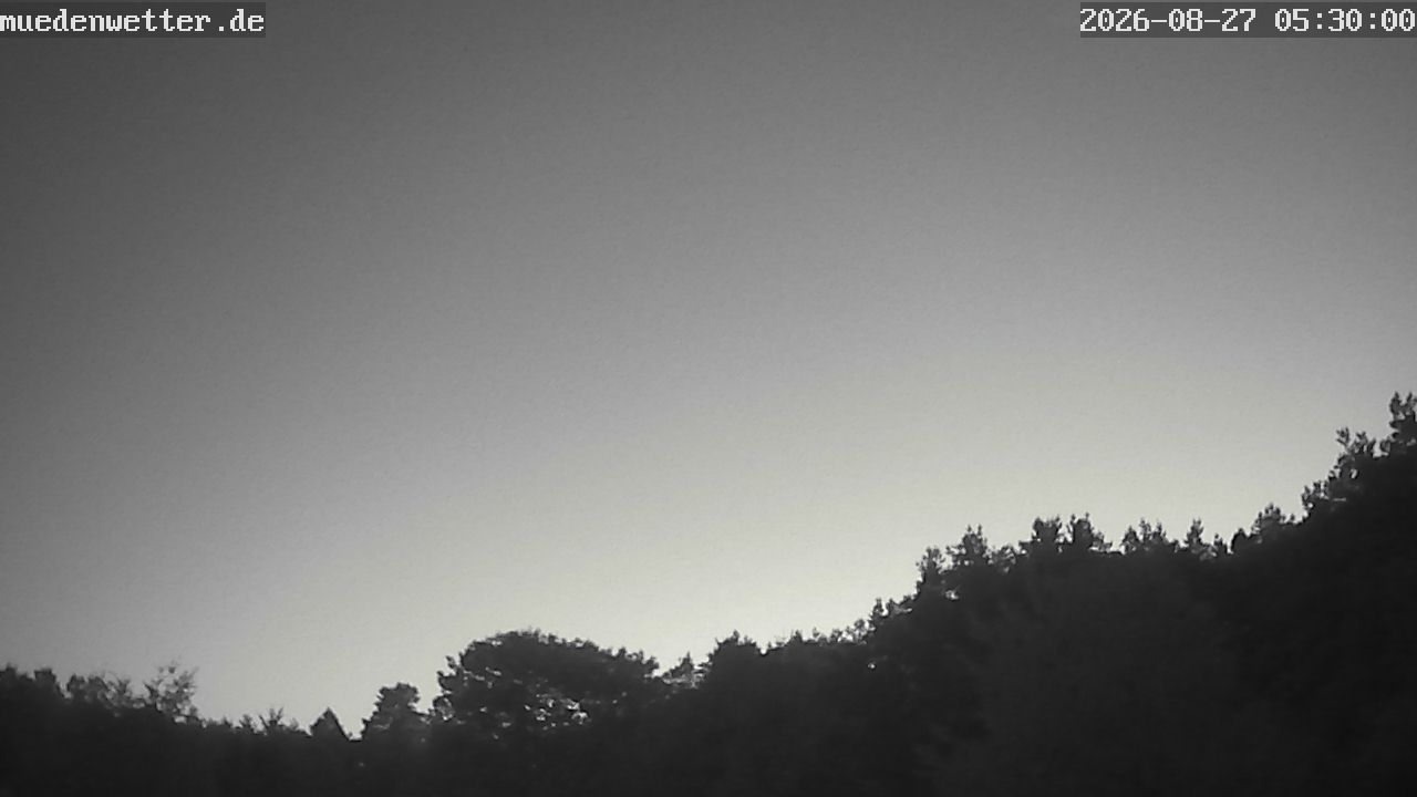 Fassberg › North