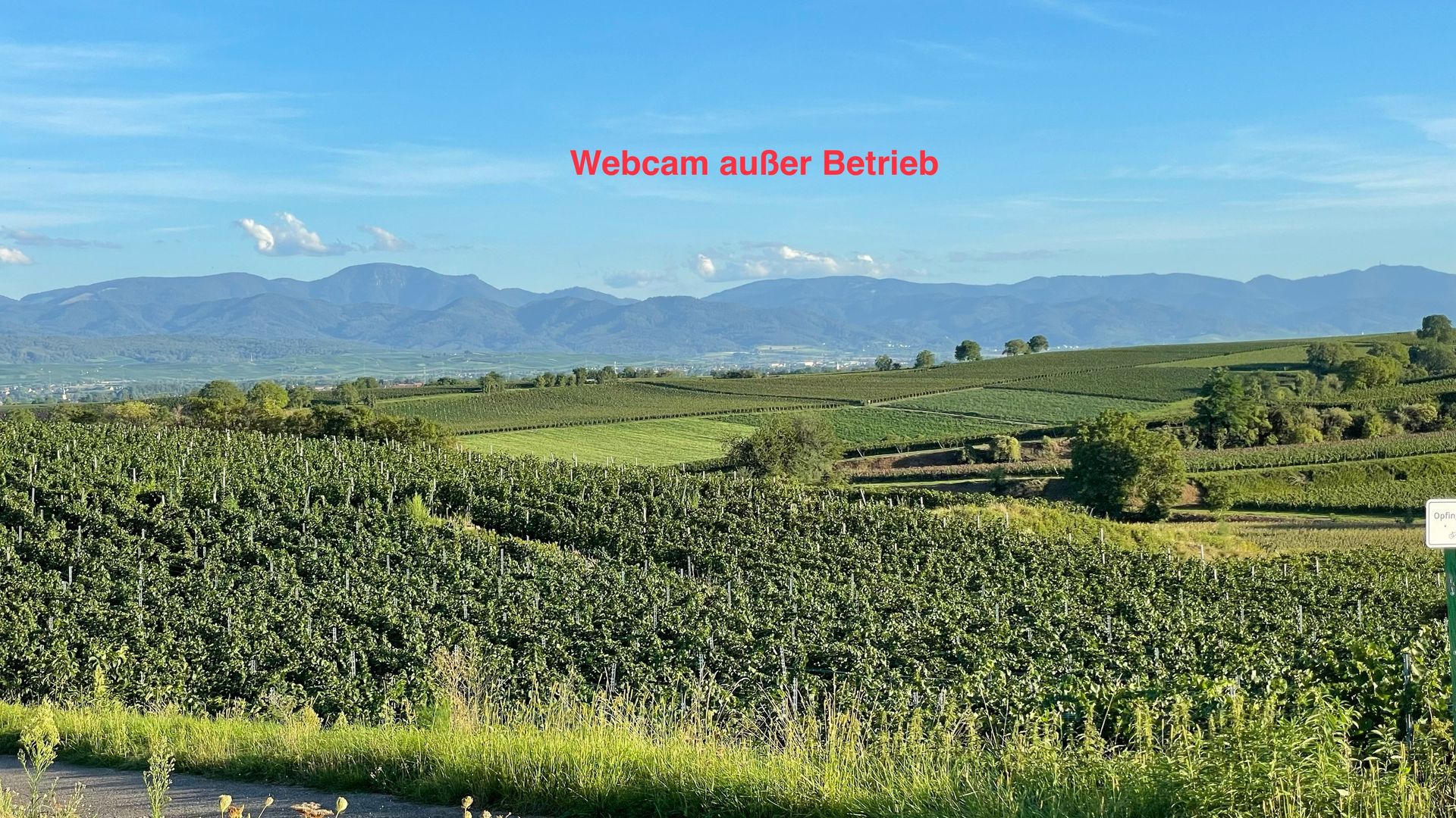 Schallstadt › North-West: Tiengen