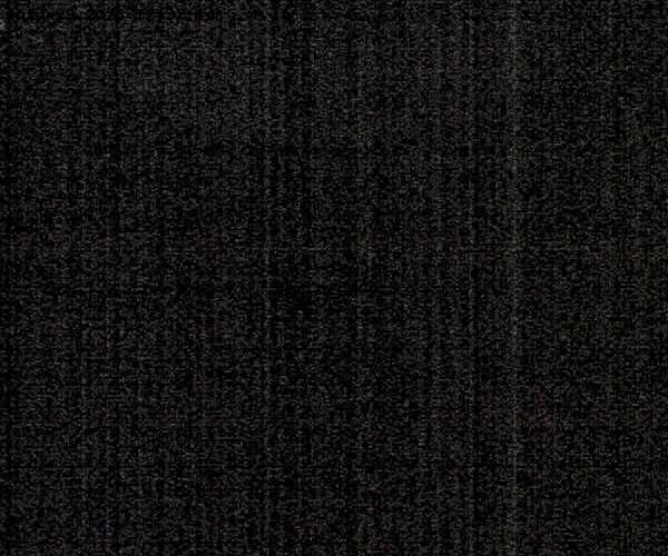 Cogne: Gran Paradiso Webcam