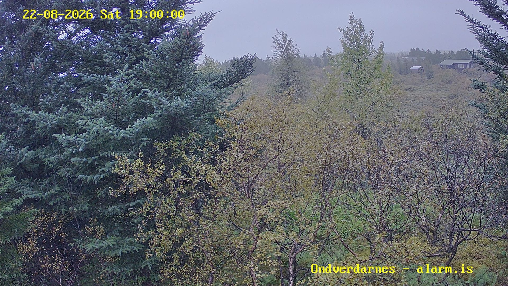Selfoss › East: Öndverðarnes - South