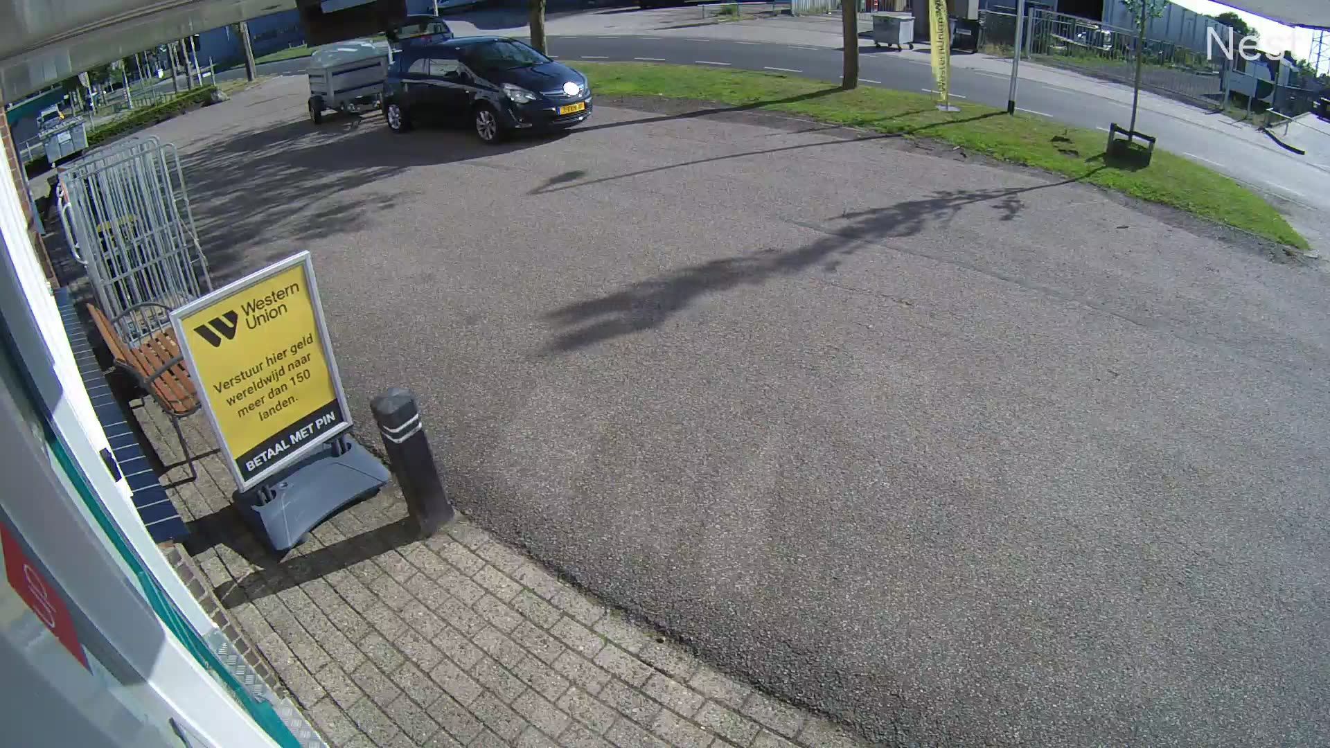 Steenwijkerland: Koematen