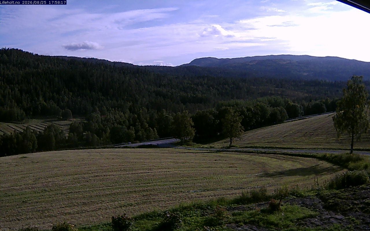 Storas: Garberg, Meldal. Utsikt mot Tifjellet