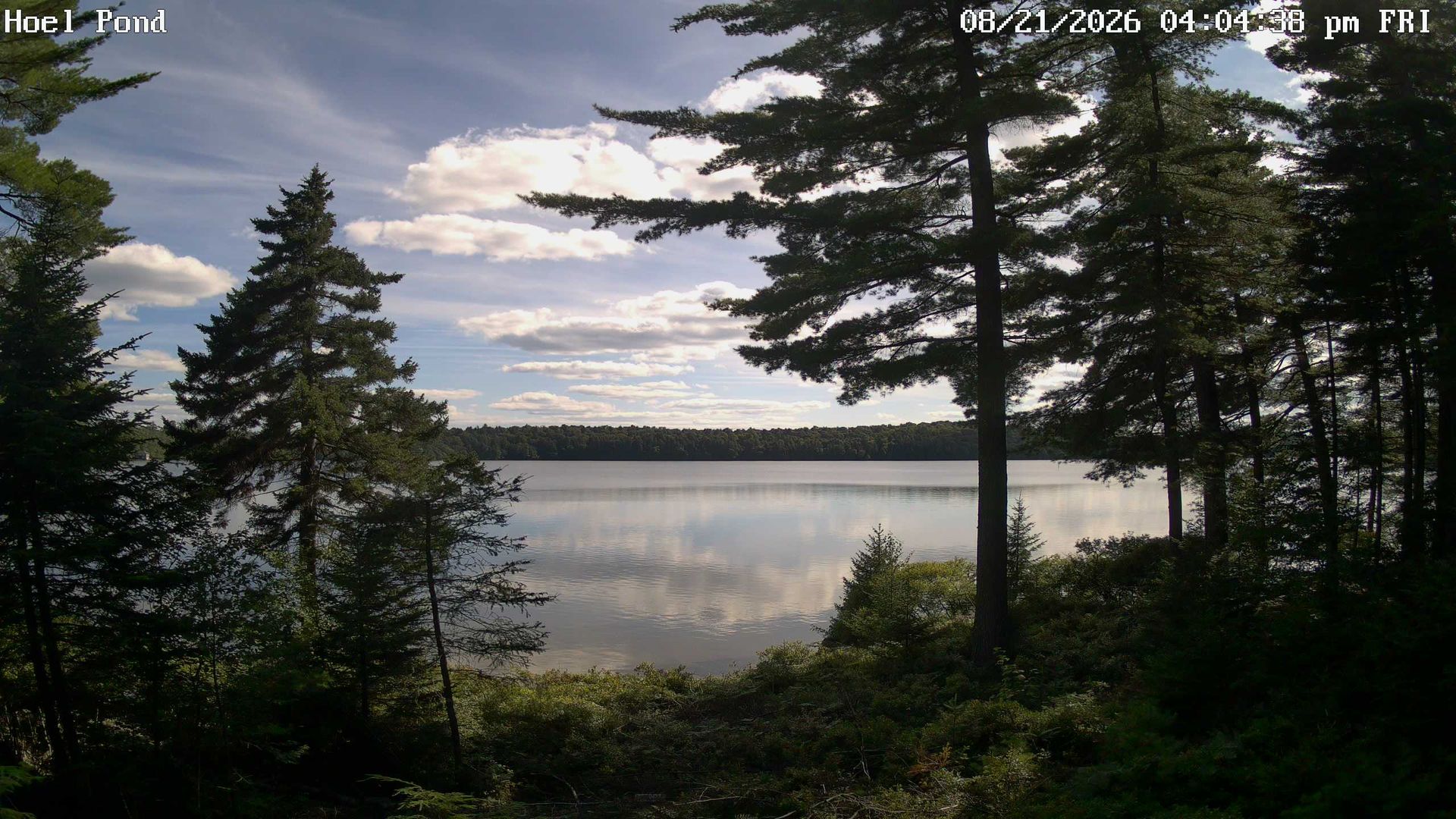 Franklin: Hoel Pond Road - Home Pond