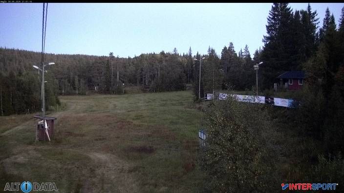 Lislevann