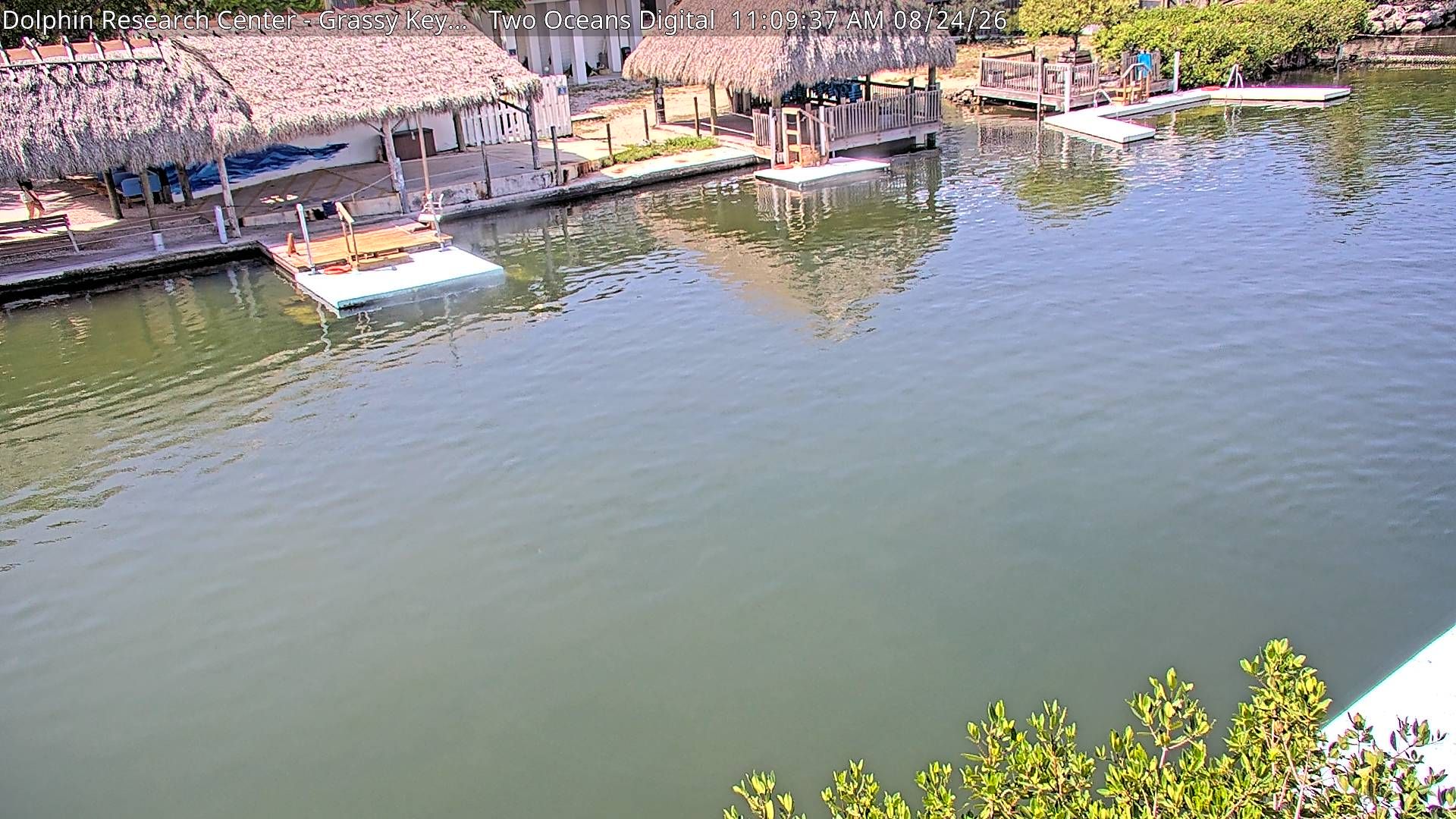 Marathon: Grassy Key