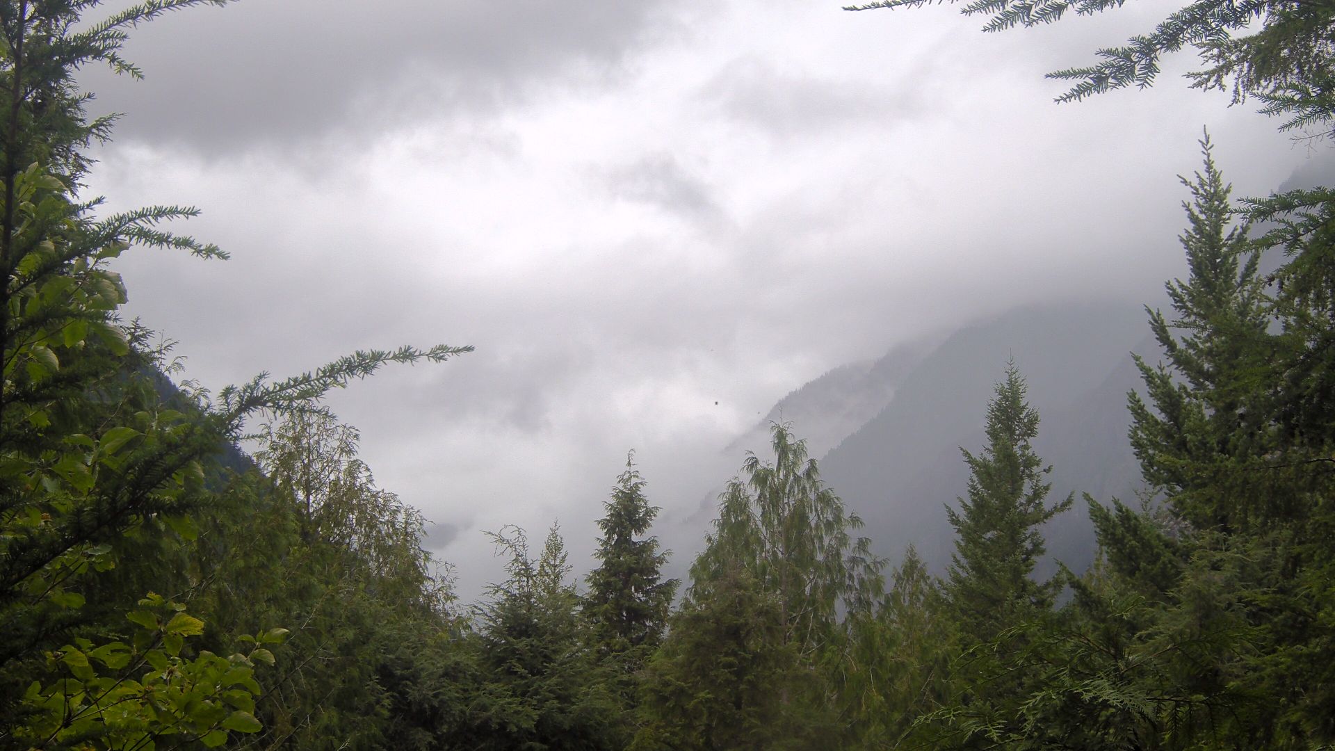 Whatcom › North-West: North Cascades Visitor Center