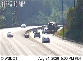 Sammamish: SR 202 at MP 9.9: 204th Ave NE