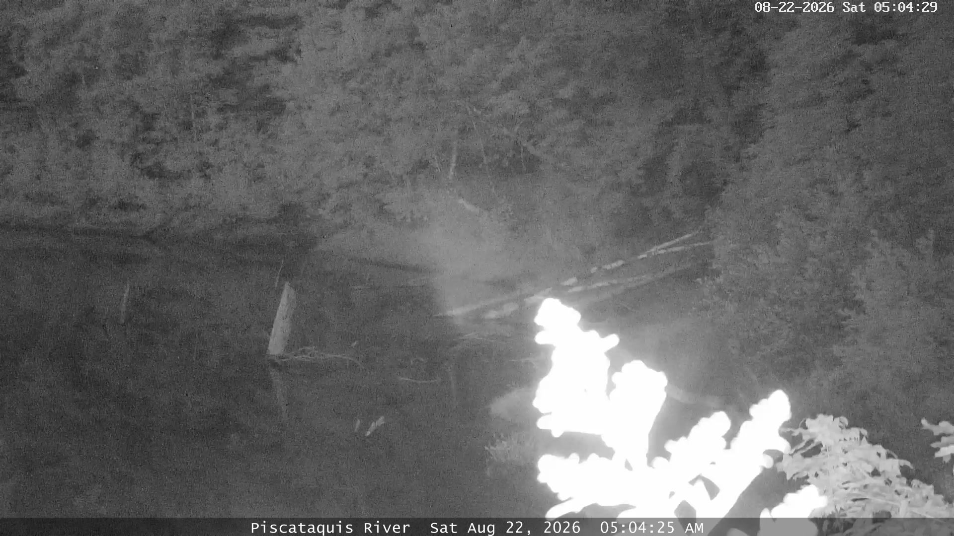 Derby › North: Piscataquis River
