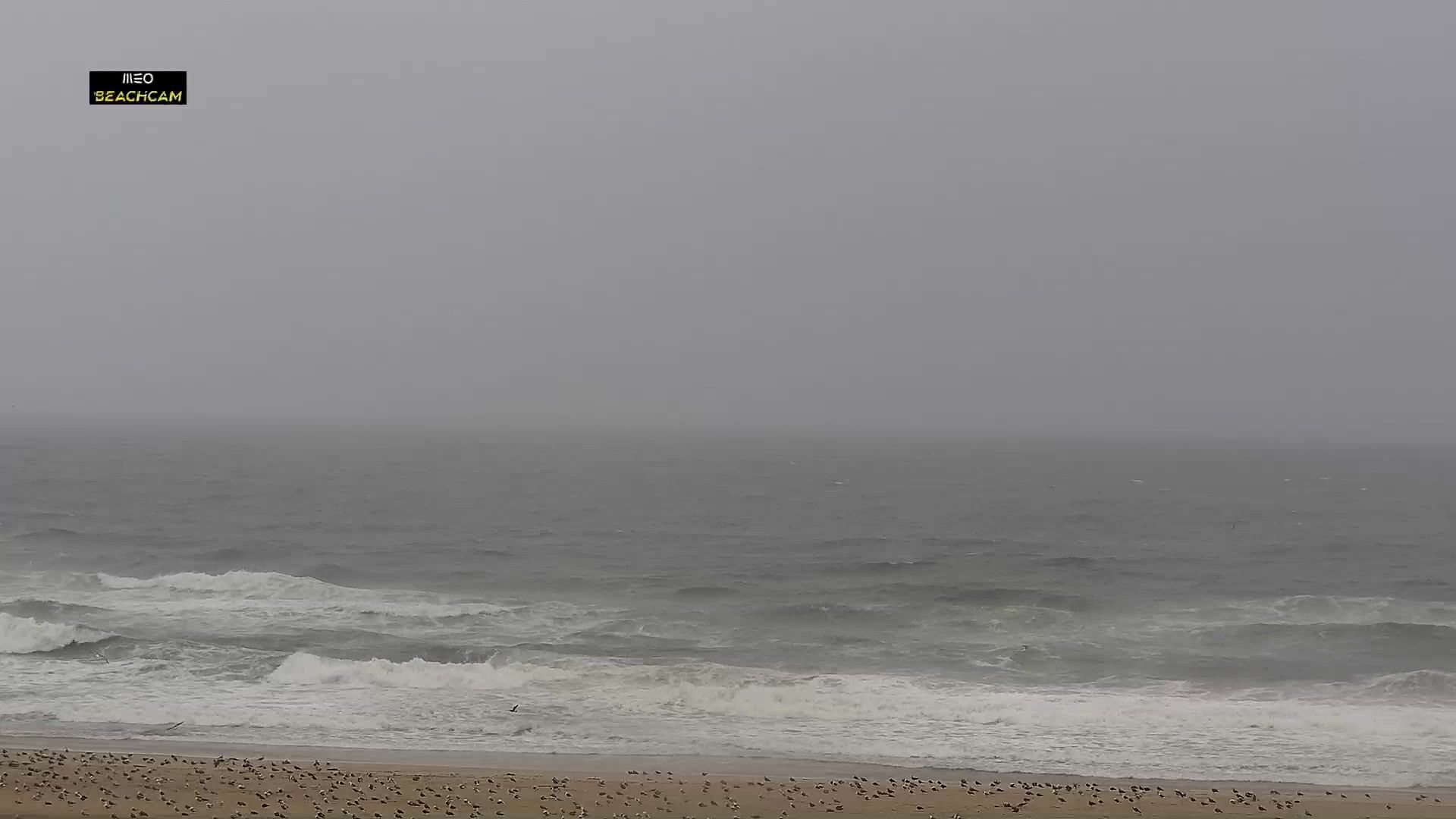 Matosinhos e Leca da Palmeira: Matosinhos Municipality - Porto