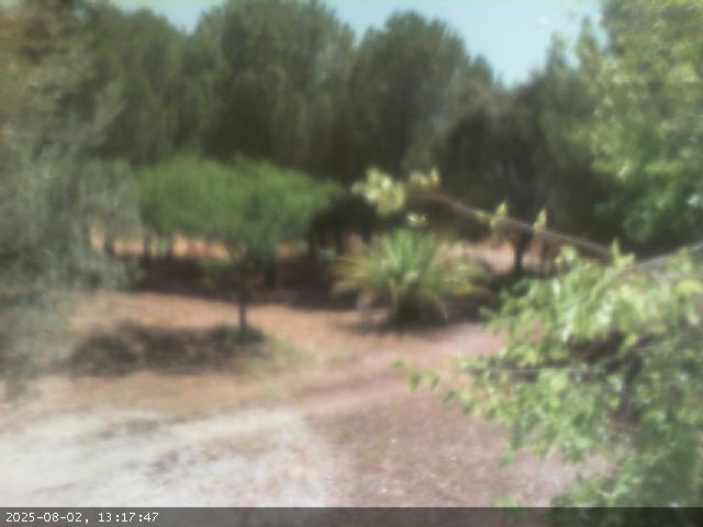 Villaviciosa de Cordoba › South-East