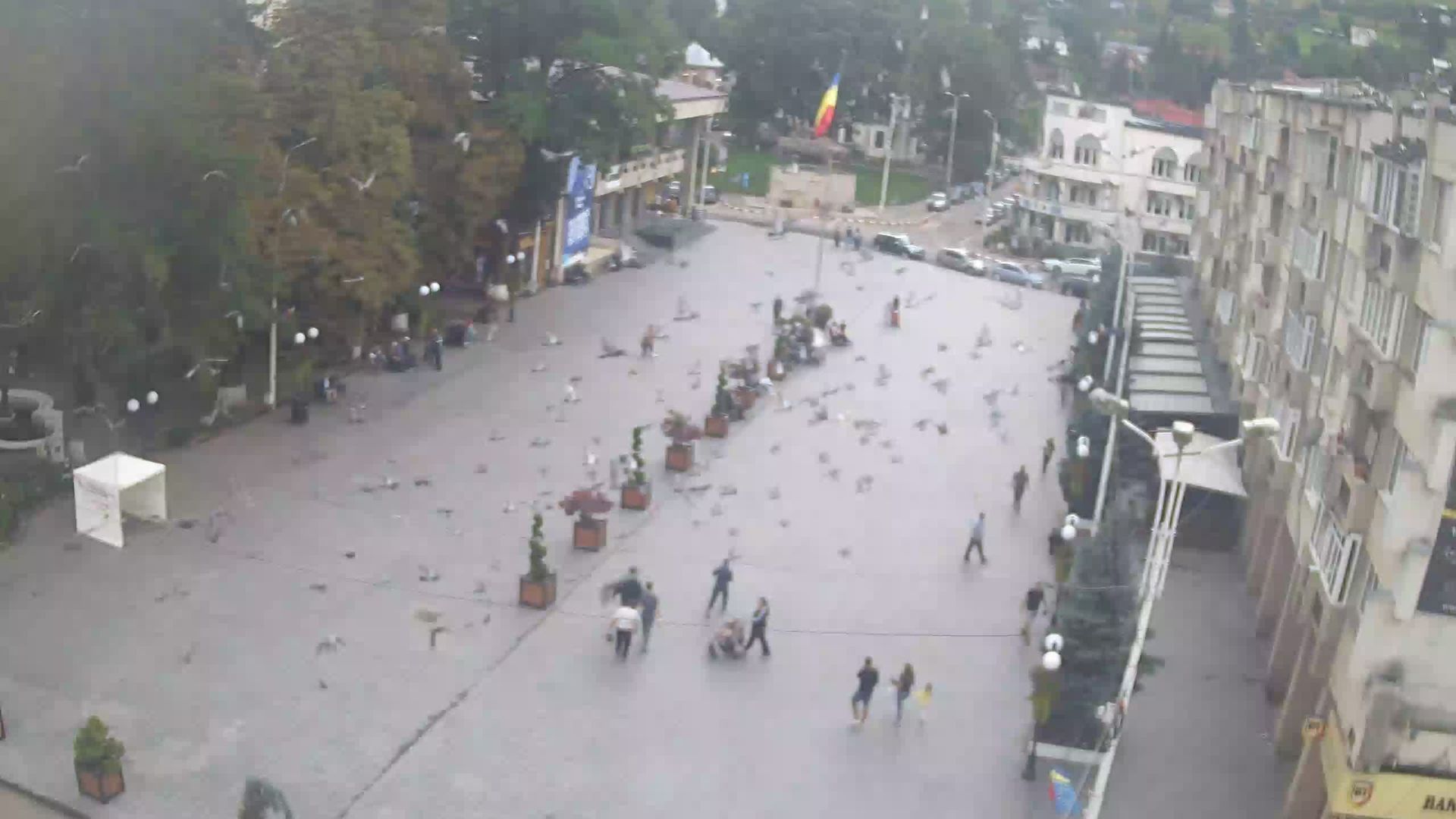 Campulung Moldovenesc