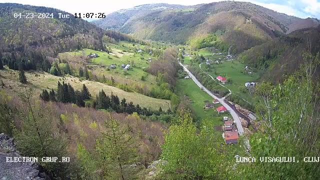 Negreni