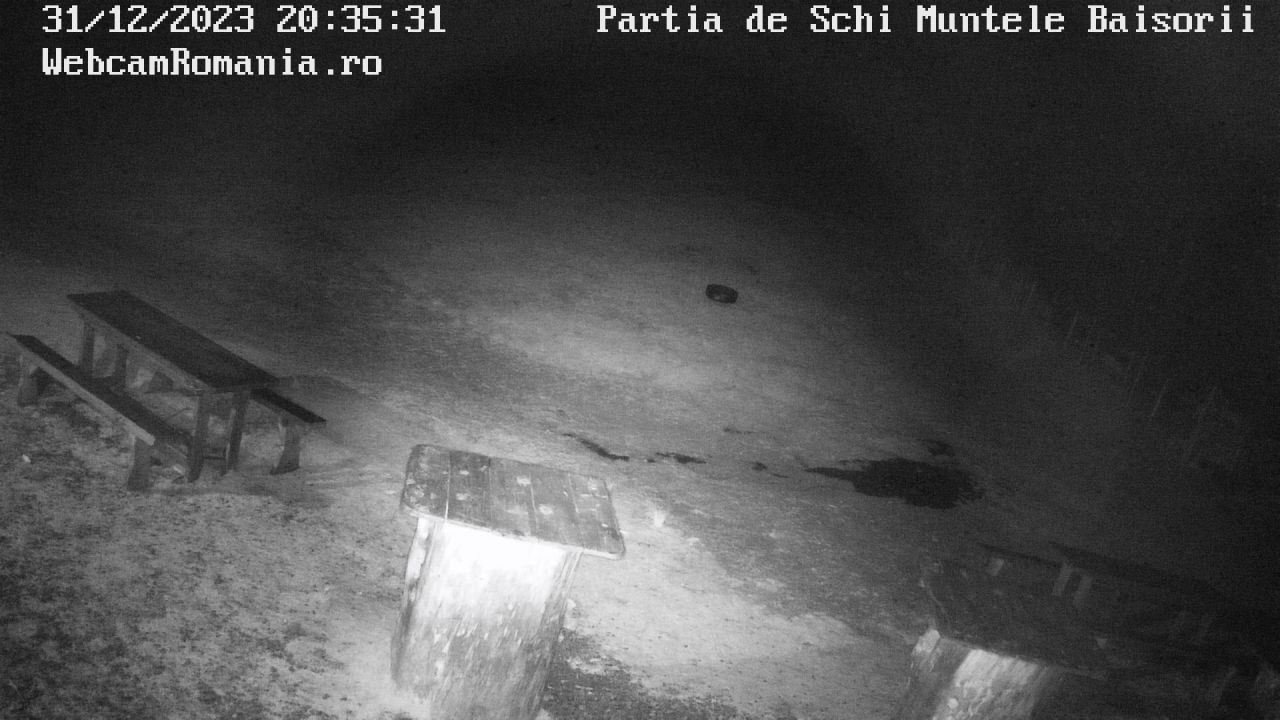 Savadisla: Muntele Băișorii
