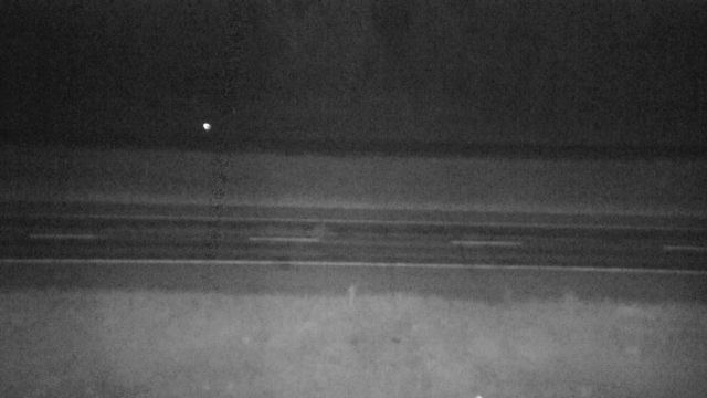 Yellowhead County: Hwy 16: Near Obed Summit
