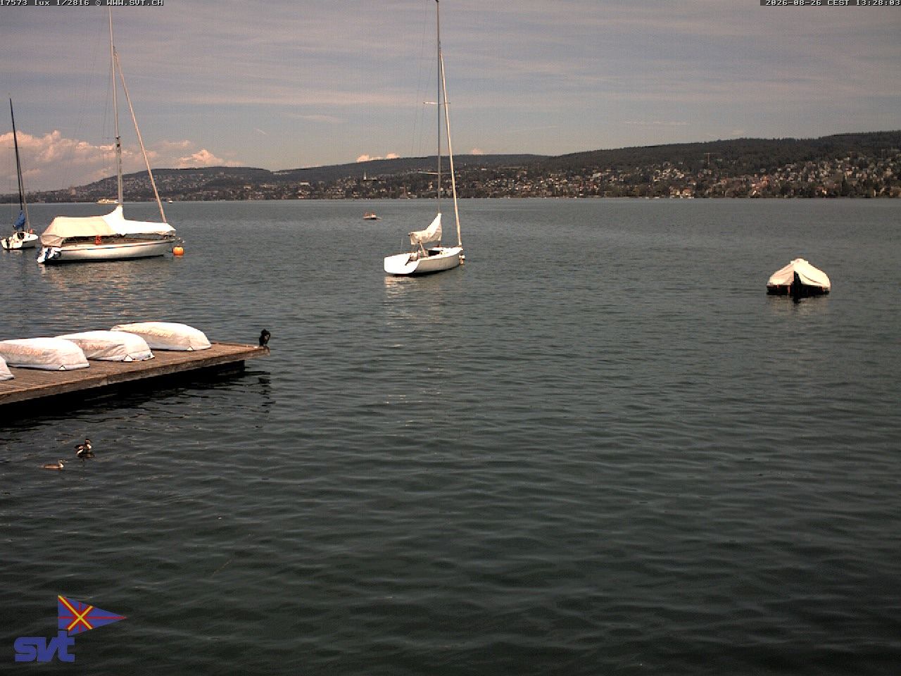 Thalwil › East: Lake Zurich