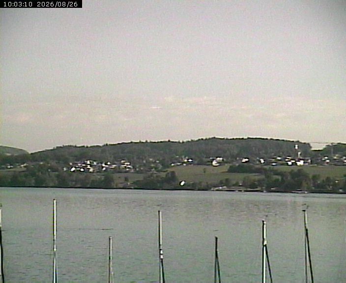 Beinwil am See: Hallwilersee Ost 1