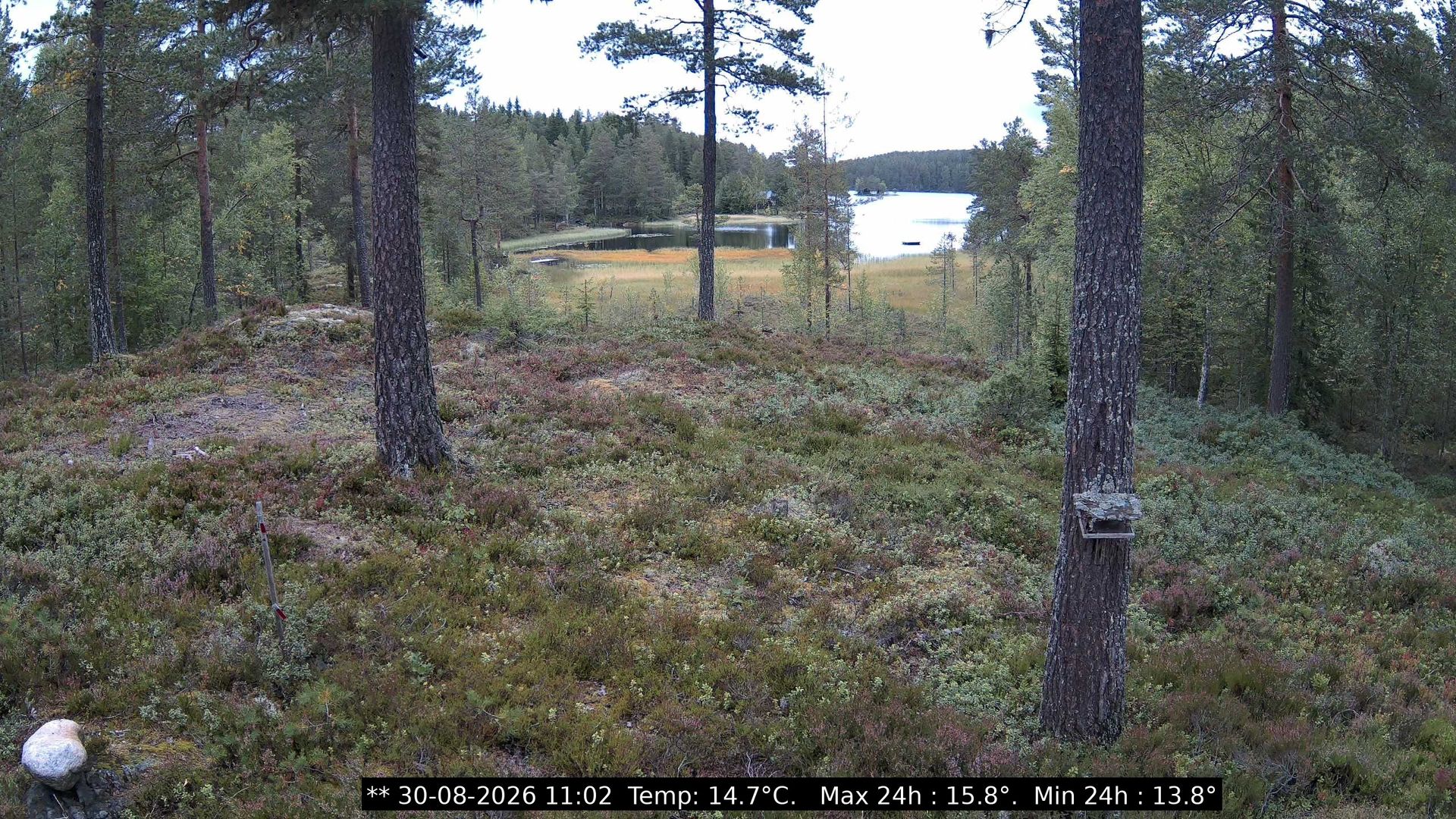 Bjoneroa › North-East: Svarttjern